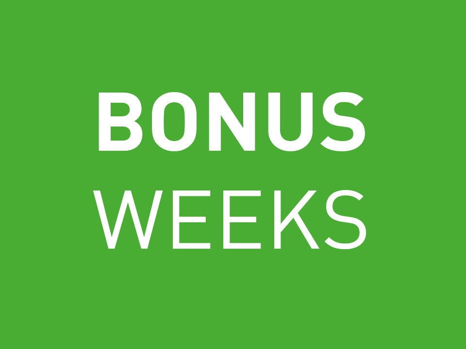 Festool bonusa nedēļas